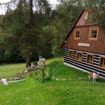 Apartman Dve Micky Pec pod Snezkou Exterior foto