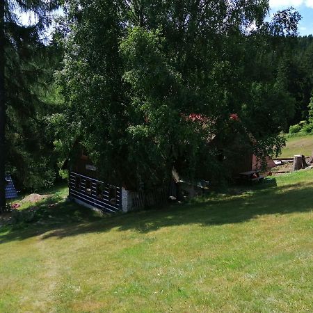 Apartman Dve Micky Pec pod Snezkou Exterior foto
